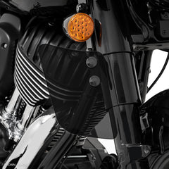 Black Lower Lowers on an Indian Chief Bobber